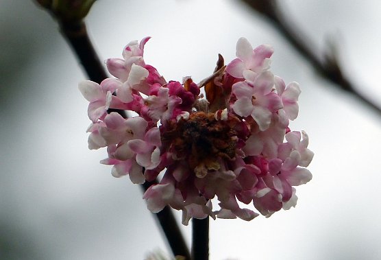 Fr&uuml;hlingsboten? (Foto: nnz)