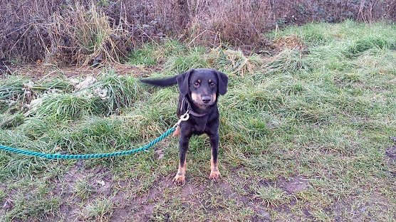 Pitti (Foto: B. Hellrung)