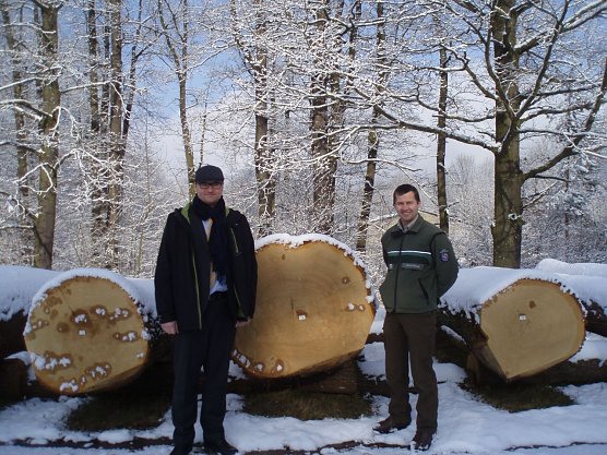 Eine Prachteiche aus dem Stadtwald Sondershausen, war in Egstedt gut pr&auml;sentiert. Der Hauptamtsleiter Herr Schard von der Stadt und der zust&auml;ndige Revierleiter Marcel Raube, freuen sich &uuml;ber die gelungene Verkaufsaktion.  (Foto: Klaus-Wilhelm Br&uuml;ggemann)