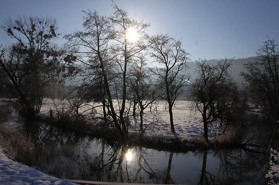 Wipperaue bei Obergebra (Foto: M. Randel)