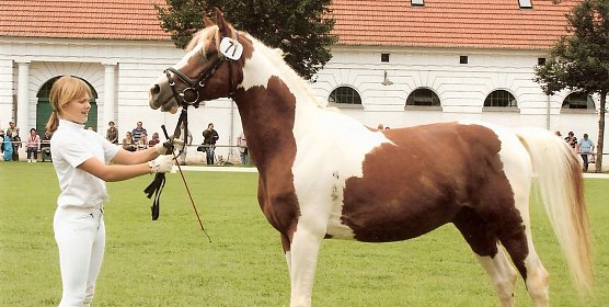 Mitgliederversammlung (Foto: privat)