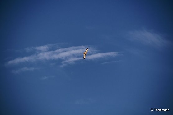 Wetterbild (Foto: Gernot Thelemann)