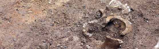 Ausgegraben (Foto: Angelo Glashagel)