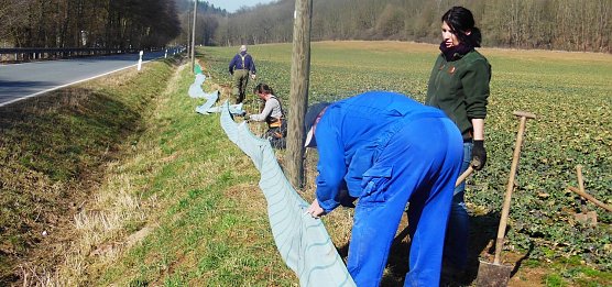 Kr&ouml;tenfangzaun aufgestellt (Foto: L. Schubert)