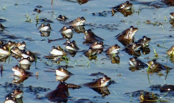 Tausende werden unterwegs sein (Foto: L. Schubert)