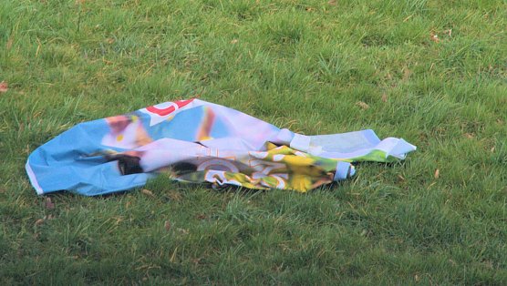 Sturmsch&auml;den (Foto: Peter Blei)