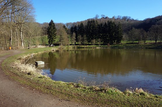 Gondelteich in Neustadt (Foto: Sandra Witzel)