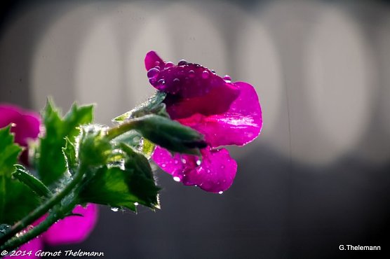Wetterbild (Foto: Gernot Thelemann)