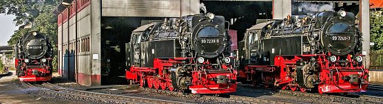 Die Brocken-Loks (Foto: Bahnsen/HSB) Die Brocken-Loks (Foto: Bahnsen/HSB)