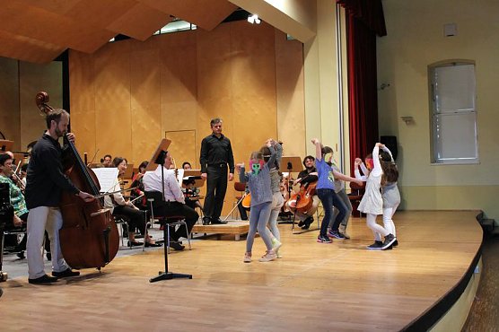 Karneval der Tiere (Foto: Karl-Heinz Herrmann) Karneval der Tiere (Foto: Karl-Heinz Herrmann)