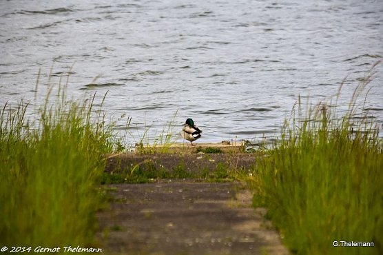 Wetter-Bild (Foto: Gernot Thelemann)