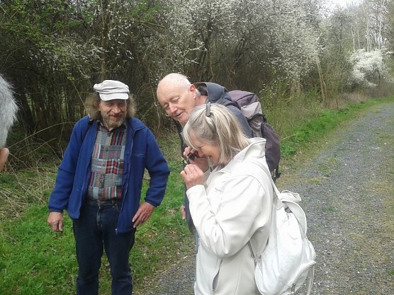 Auf der botanischen Exkursion haben die Mitglieder des Nordh&auml;user BUND ganz genau hingesehen (Foto: Bodo Schwarzberg)