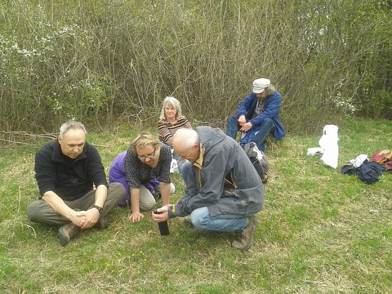Auf der botanischen Exkursion haben die Mitglieder des Nordh&auml;user BUND ganz genau hingesehen (Foto: Bodo Schwarzberg)