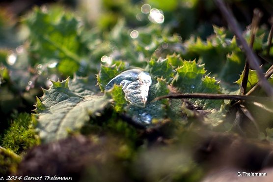 Wetter-Bild (Foto: Gernot Thelemann) Wetter-Bild (Foto: Gernot Thelemann)