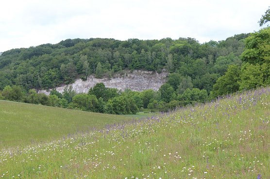 Exkursion in die Rüdigsdorfer Schweiz (Foto: Jessica Pieper) Exkursion in die Rüdigsdorfer Schweiz (Foto: Jessica Pieper)
