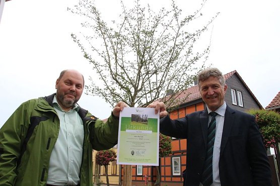Max Wille schenkt seinem Salza einen Rotdorn-Baum (Foto: Patrick Grabe, Pressestelle Stadt Nordhausen)