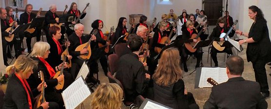 Landeszupforchester feierte 10. Geburtstag (Foto: Eduard Seifert)