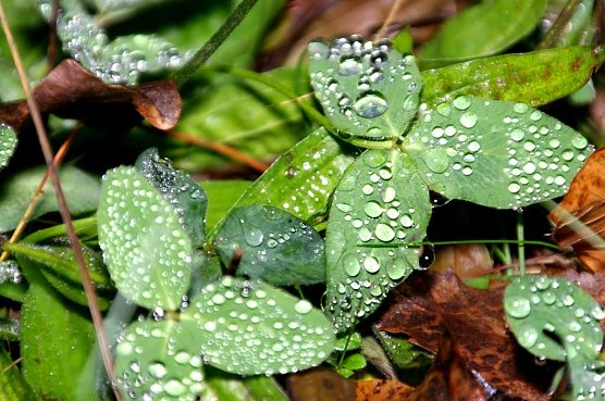 Wetter-Bild (Foto: Gernot Thelemann)
