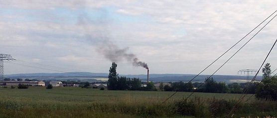 Am fr&uuml;hen Morgen in der Goldenen Aue (Foto: privat)