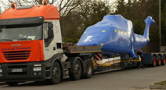 Am Boden (Foto: nnz)