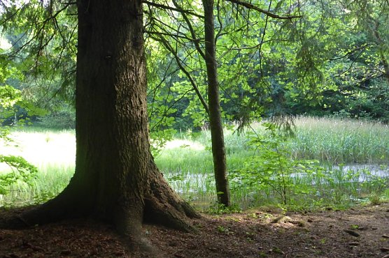 Zu den Diskursen wird es auch die Lyriklesung "Gr&uuml;ner Junipfad" geben (Foto: Heidelore Kneffel)