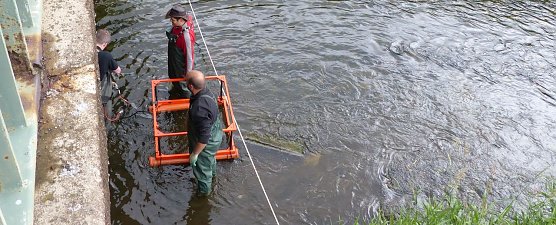 Mittels Sonar abgestastet (Foto: nnz)