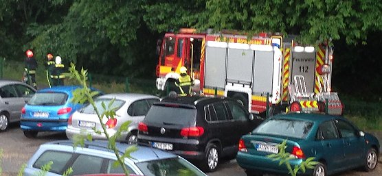Umgest&uuml;rzter Baum am Gesundbrunnen (Foto: privat)