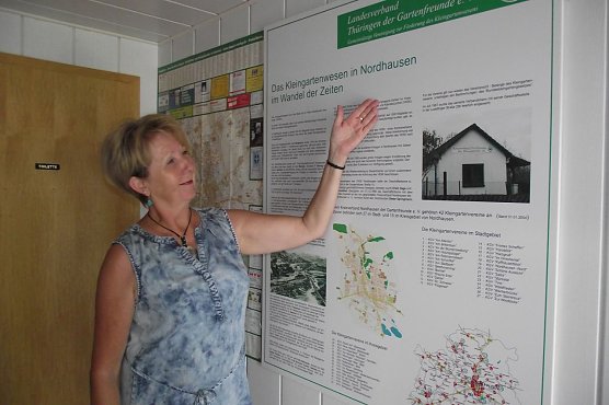 Marlis Biel leitet die Geschicke des Kreisverbandes Nordhausen der Kleing&auml;rtner. Im Bild vor einer Dokumentation Das Kleingartenwesen im Wandel der Zeiten. Jeden Dienstag hat sie Sprechtag im B&uuml;ro in der Ludolfingerstra&szlig;e  22b (Foto: Kurt Frank)