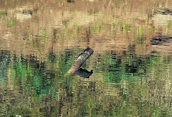 Wetter-Bild (Foto: Gernot Thelemann)