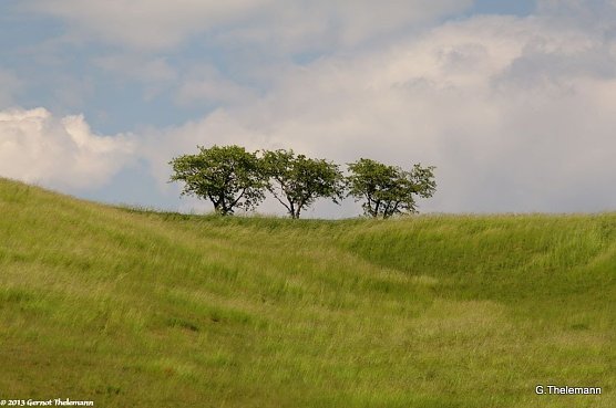 Wetterbild (Foto: Gernot Thelemann)