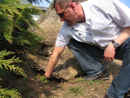 stadt ndh (Foto: stadt ndh)