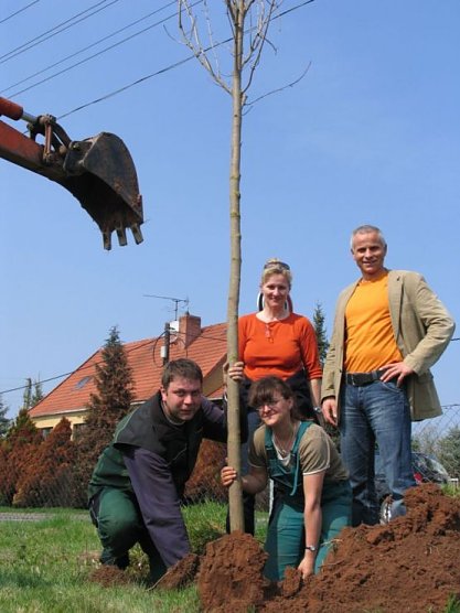 stadt ndh (Foto: stadt ndh)