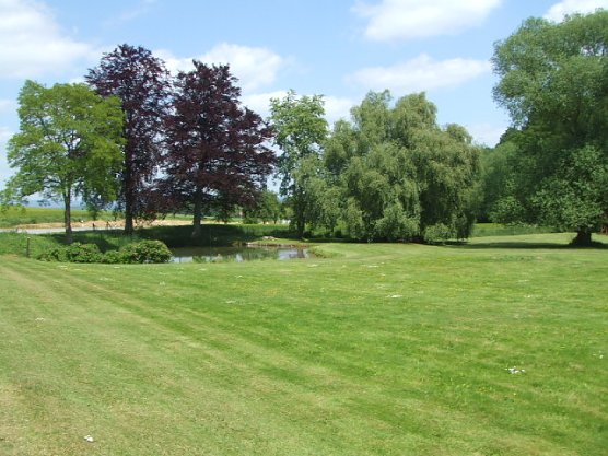 Mit Fronderode gewinnt die Gemeinde Werther auch ein paar sch&ouml;ne Flecken (Foto: Hans-J&uuml;rgen Weidt)