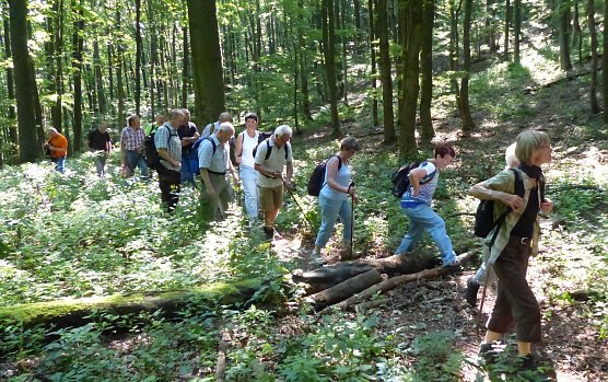 Unterwegs im S&uuml;dharz (Foto: E. Baumbach)