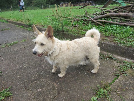 Tier der Woche: Lilly (Foto: Birgit Hellrung) Tier der Woche: Lilly (Foto: Birgit Hellrung)