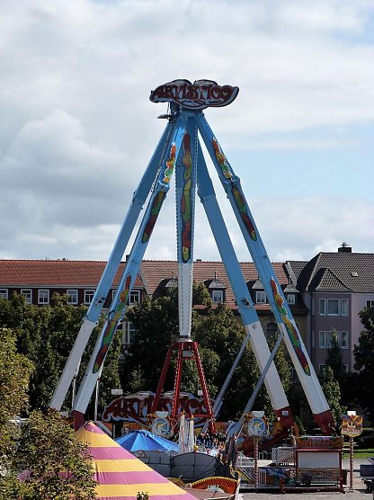 Hochgeschaukelt (Foto: Peter Blei)