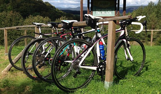 Quartett unterwegs (Foto: privat)