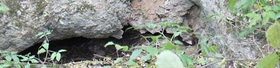 Tiefer Schlund - der Erdfall bei Buchholz (Foto: Angelo Glashagel)