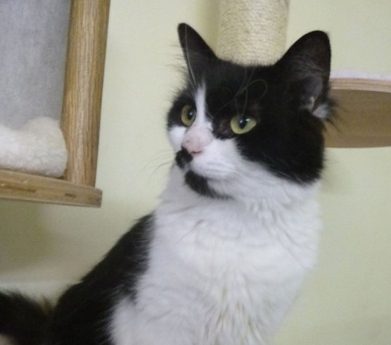 Tier der Woche: Orlanda (Foto: Birgit Hellrung)