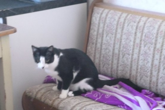 Tier der Woche: Samira (Foto: Birgit Hellrung) Tier der Woche: Samira (Foto: Birgit Hellrung)