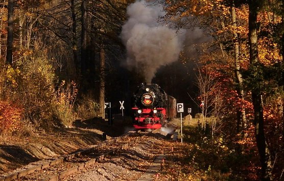 An der Steinernen Renne (Foto: Bernd Thielbeer)