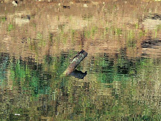 Wetter-Bild (Foto: Gernot Thelemann)