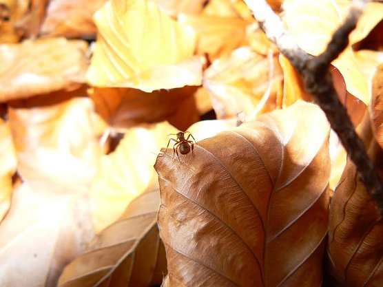 Wetter-Bild (Foto: Gernot Thelemann)