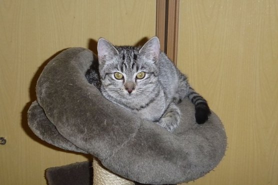 Tier der Woche: Beci (Foto: Birgit Hellrung)