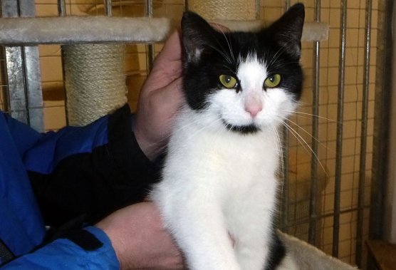 Edda (Foto: B. Hellrung)