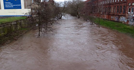 Ziemlich viel Wasser in der Zorge (Foto: nnz)