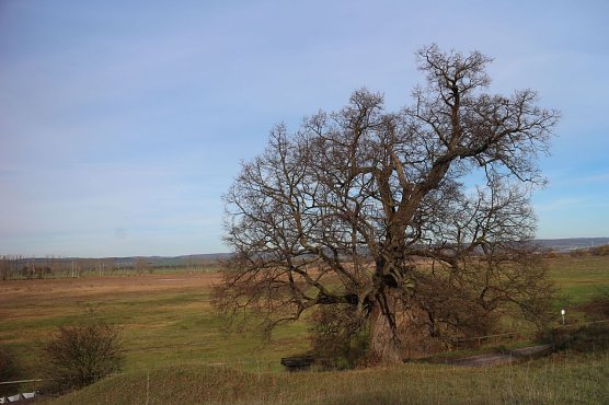 Wetterbild (Foto: Angelo Glashagel) Wetterbild (Foto: Angelo Glashagel)