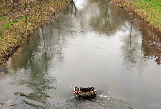 Das Ding im Fluss (Foto: privat)