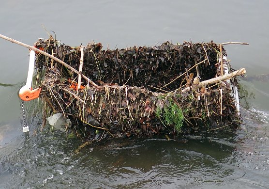 Das Ding im Fluss (Foto: privat)