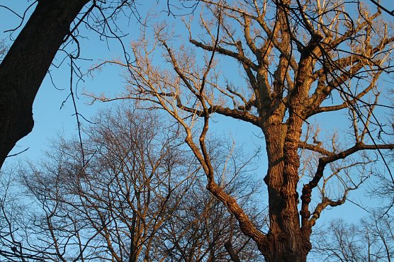 Wetterbild (Foto: Angelo Glashagel)